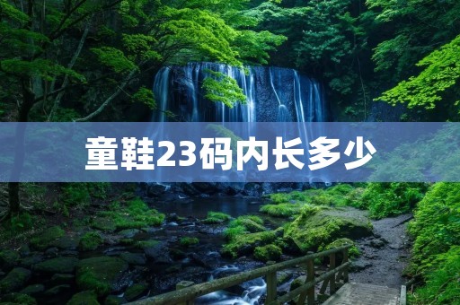 童鞋23码内长多少