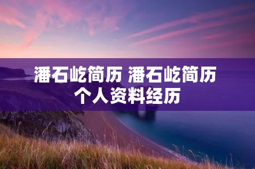 潘石屹简历 潘石屹简历 个人资料经历