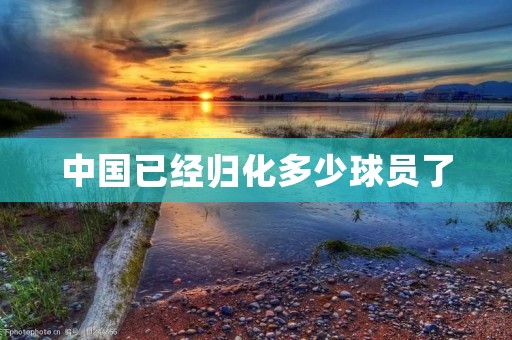 中国已经归化多少球员了 中国已经归化多少球员了