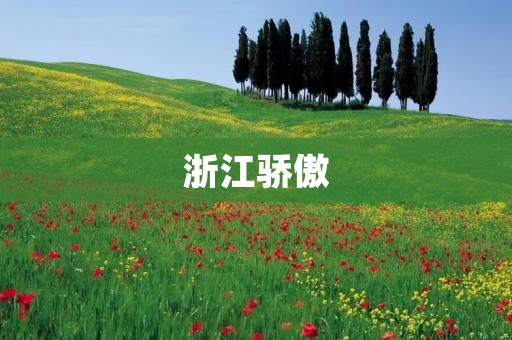 浙江骄傲：传承与创新的故事