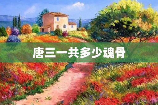 唐三一共多少魂骨