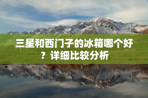 三星和西门子的冰箱哪个好？详细比较分析