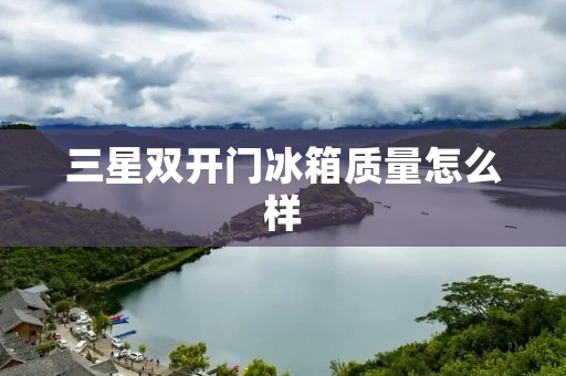 三星**门冰箱质量怎么样：详细评测与分析