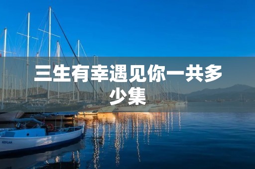 三生有幸遇见你一共多少集 三生有幸遇见你一共多少集