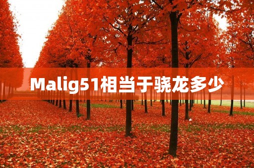 Malig51相当于骁龙多少 Malig51相当于骁龙多少