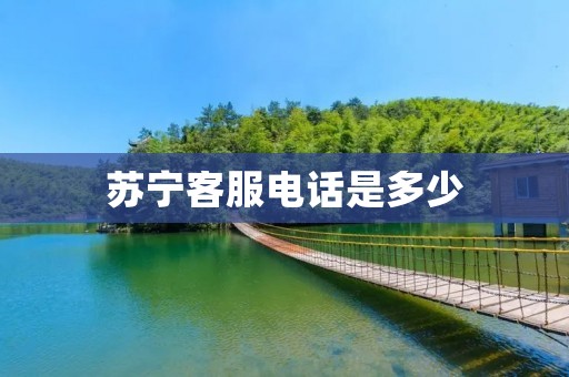 苏宁****是多少 苏宁****是多少