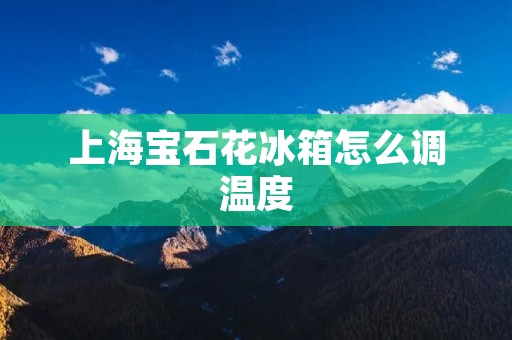 上海宝石花冰箱怎么调温度