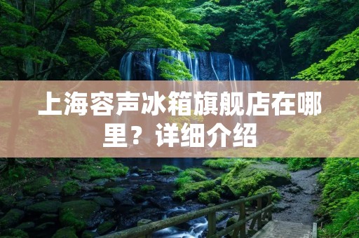 上海容声冰箱旗舰店在哪里？详细介绍