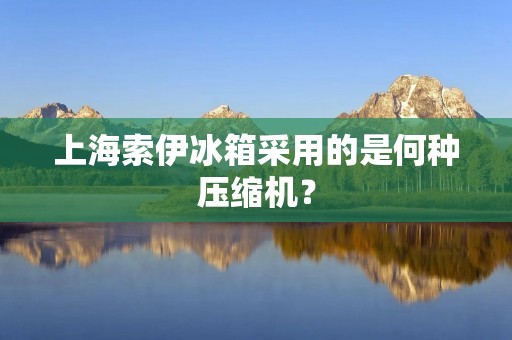上海索伊冰箱采用的是何种压缩机？