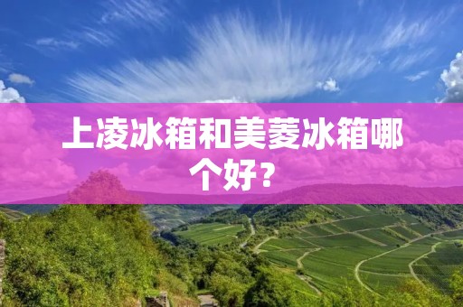 上凌冰箱和美菱冰箱哪个好？