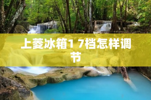 上菱冰箱1 7档怎样调节：详细解析
