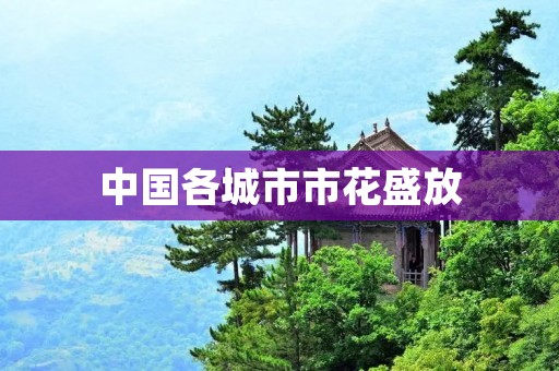 中国各城市市花盛放：一场绚烂的花海之旅