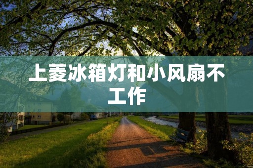 上菱冰箱灯和小风扇不工作:解决方法与常见故障分析 上菱冰箱灯和小风扇不工作:解决方法与常见故障分析