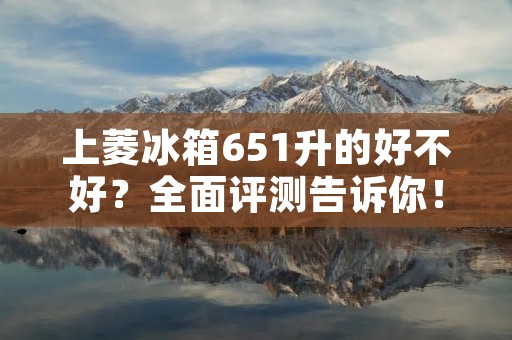 上菱冰箱651升的好不好？全面评测告诉你！