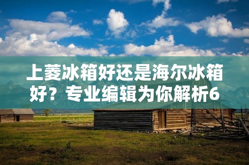 上菱冰箱好还是海尔冰箱好？专业编辑为你解析600字