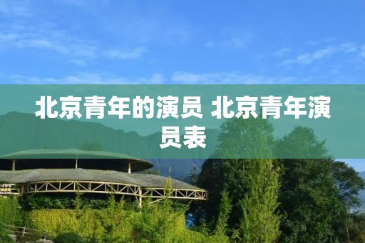 北京青年的演员 北京青年演员表