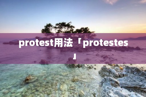 protest用法「protestes」 protest用法「protestes」