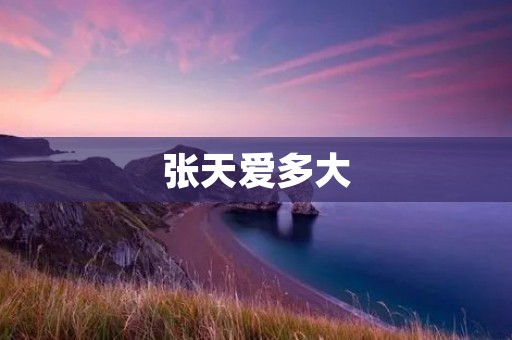 张天爱多大