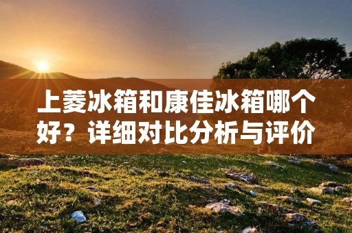 上菱冰箱和康佳冰箱哪个好?详细对比分析与评价 上菱冰箱和康佳冰箱哪个好?详细对比分析与评价