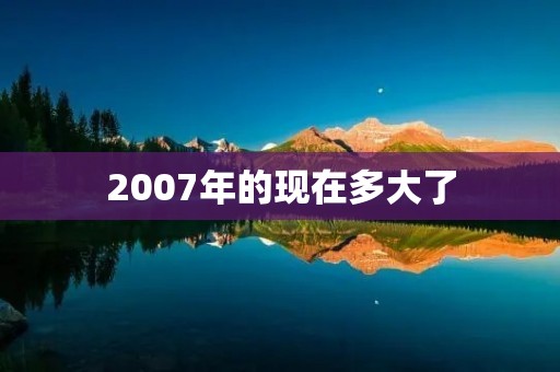 2007年的现在多大了