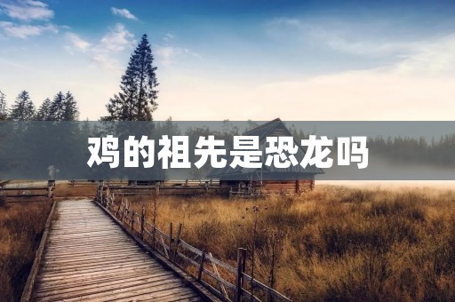 鸡的祖先是恐龙吗