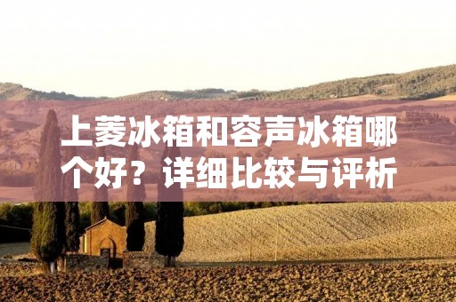 上菱冰箱和容声冰箱哪个好?详细比较与评析 上菱冰箱和容声冰箱哪个好?详细比较与评析