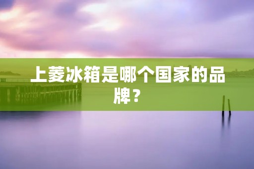 上菱冰箱是哪个国家的品牌? 上菱冰箱是哪个国家的品牌?