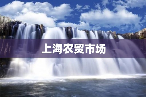 上海农贸市场:传承与创新的养生宝库 上海农贸市场:传承与创新的养生宝库