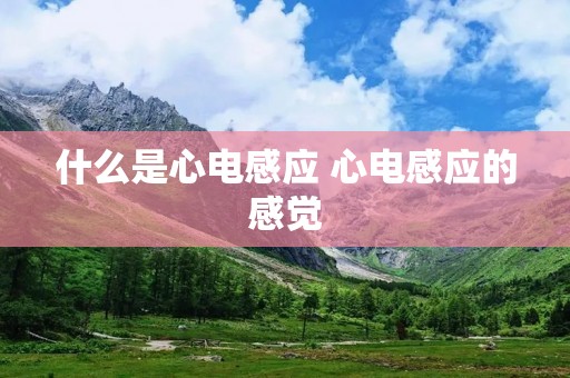 什么是心电感应 心电感应的感觉 什么是心电感应 心电感应的感觉