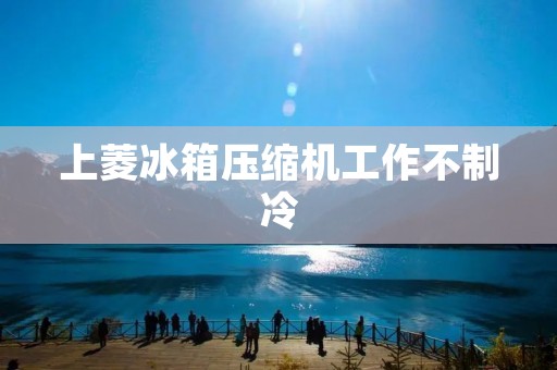 上菱冰箱压缩机工作不制冷:原因与解决方法 上菱冰箱压缩机工作不制冷:原因与解决方法