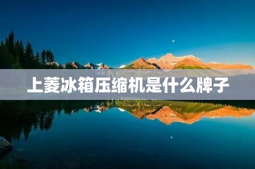 上菱冰箱压缩机是什么牌子：深度解析上菱冰箱压缩机的品牌与特点