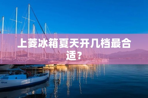 上菱冰箱夏天开几档最合适？