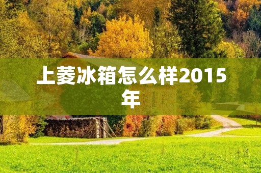 上菱冰箱怎么样2015年:性能稳定,颜值出众 上菱冰箱怎么样2015年:性能稳定,颜值出众