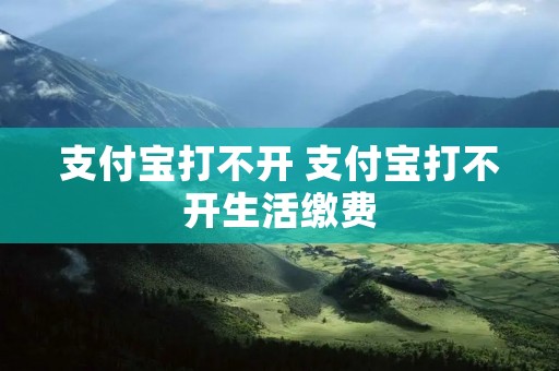 支付宝打不开 支付宝打不开生活缴费