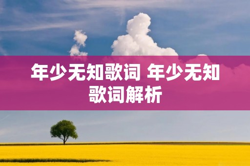 年少无知歌词 年少无知歌词解析