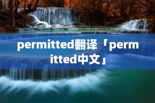 permitted翻译「permitted中文」