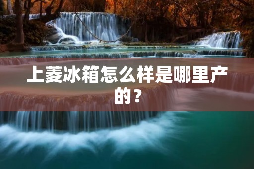 上菱冰箱怎么样是哪里产的? 上菱冰箱怎么样是哪里产的?