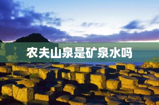 农夫山泉是矿泉水吗 农夫山泉是矿泉水吗