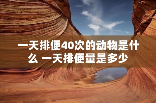 一天排便40次的动物是什么 一天排便量是多少