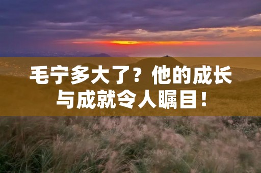毛宁多大了？他的成长与成就令人瞩目！