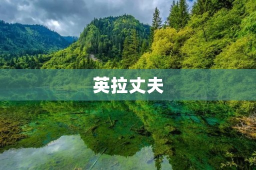 英拉丈夫:曼谷前首相英拉的家庭生活揭秘 英拉丈夫:曼谷前首相英拉的家庭生活揭秘