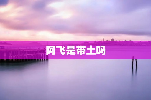 阿飞是带土吗