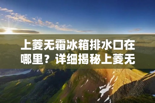 上菱无霜冰箱排水口在哪里?详细揭秘上菱无霜冰箱排水口的位置 上菱无霜冰箱排水口在哪里?详细揭秘上菱无霜冰箱排水口的位置
