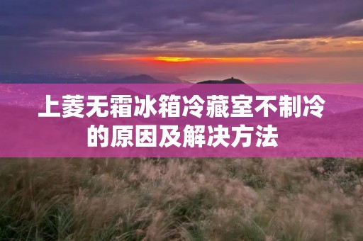 上菱无霜冰箱冷藏室不制冷的原因及解决方法 上菱无霜冰箱冷藏室不制冷的原因及解决方法