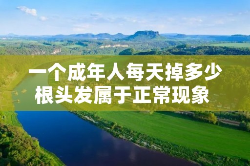 一个成年人每天掉多少根头发属于正常现象 一个成人每天掉多少根头发算正常 一个成年人每天掉多少根头发属于正常现象 一个成人每天掉多少根头发算正常