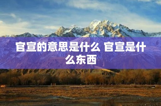 官宣的意思是什么 官宣是什么东西