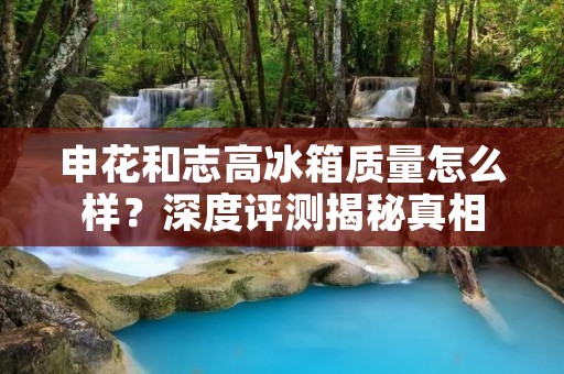 申花和志高冰箱质量怎么样？深度评测揭秘真相