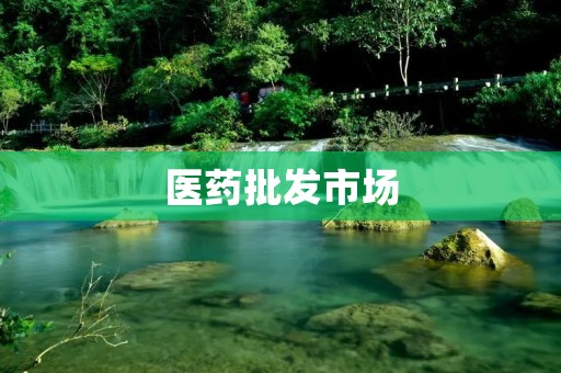 医药批发市场：探索行业发展与未来趋势