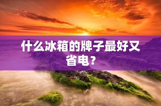 什么冰箱的牌子最好又省电？