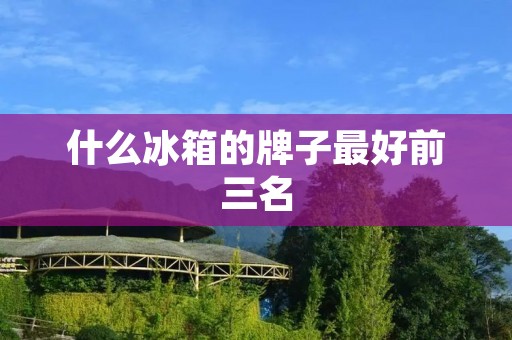 什么冰箱的牌子最好前三名